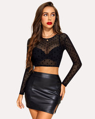 Mesh Crop Top Long Sleeve See Through Shirt